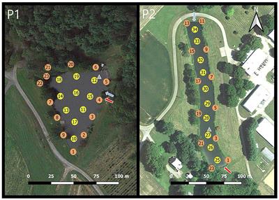 Temporal Stability of Phytoplankton Functional Groups Within Two Agricultural Irrigation Ponds in Maryland, USA